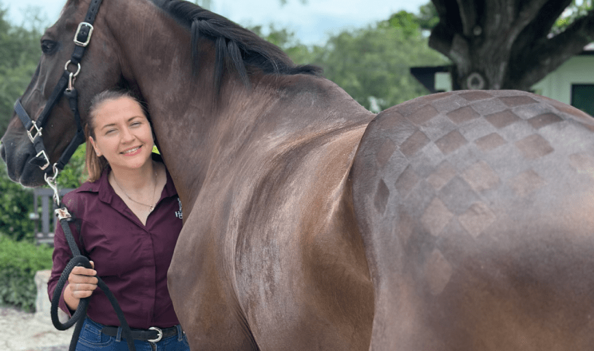 Horse Clipping